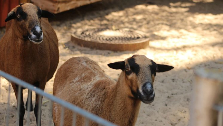 FS_Tierpark_6.jpg