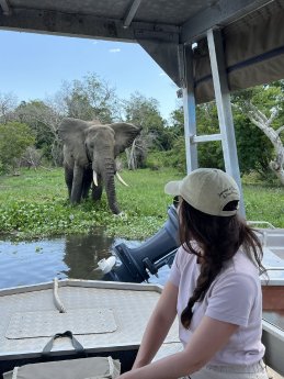 Claire + Elephant (c) Claire Zaiser, Karawane.jpg