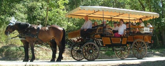 Kutsche (1) (c) Hans Körner.jpg