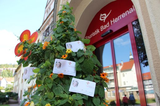 Dauerkarten zum Vorzugspreis in der Touristik erhältlich © Gartenschau Bad Herrenalb.JPG