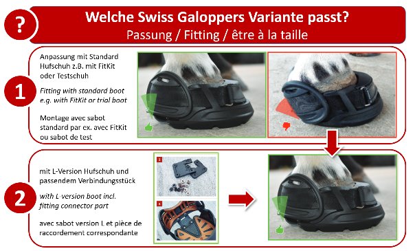 Die Swiss Galoppers Auswahl.png