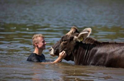 Unterhaltung im Wasser. (Bild Jana Lorenz)