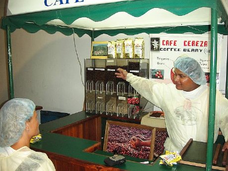 Coffee Plantation Tour.jpg