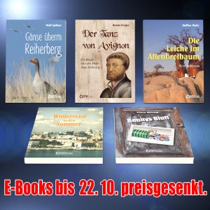 5 preisgesenkte E-ooks