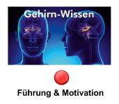 Gehirn-Wissen & Jonglieren für Führung & Motivation - http://www.tagesworkshop-fuehrung.fql.de/