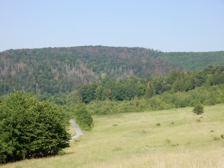 Blick vom Sulzriedenweg auf den Burgberg.JPG