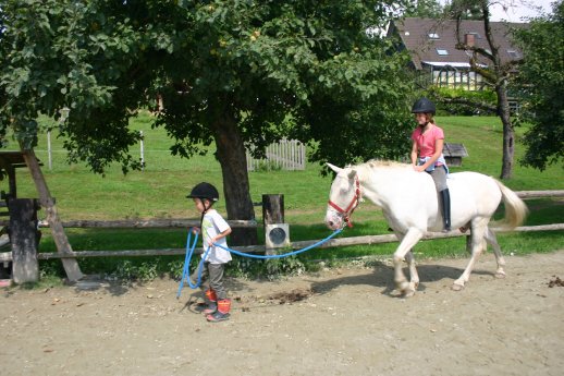 Pferdenarren freuen sich in der Unterseeregion über zahlreiche Reiterhöfe wie beispielsweis.jpg