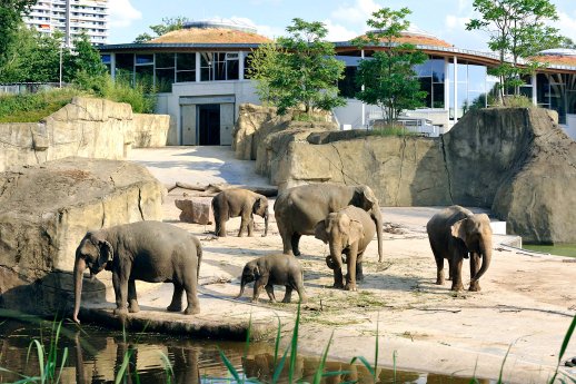 Elefantenpark 1.jpg