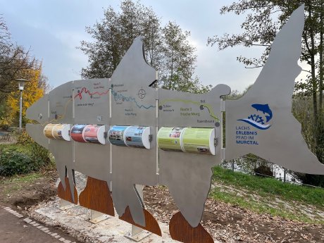 Gaggenau Lachs Nov24_©Fa.Wegweiser Sinzheim.jpeg