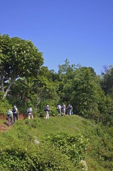Wandergruppen unterwegs im Annapurnagebiet klein.jpg