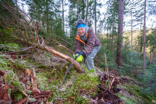 NPSchwarzwald_Auerwildbiotoppflege.jpg