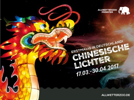 Chinesische Lichter im Allwetterzoo Münster_Motiv.jpg