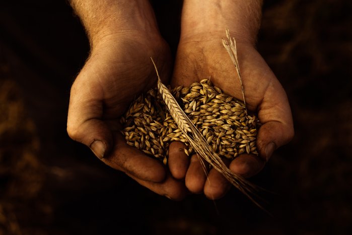 2022-06-01 Waterford 05.jpg