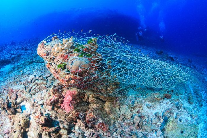 Netzreste an Korallenriff.jpg