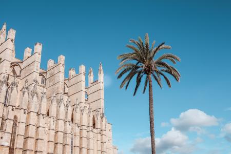 Kathedrale von Palma