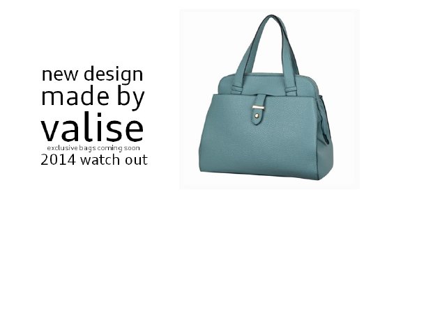 Valise - new design - made by valise.png