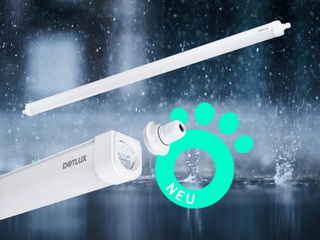 Blogbild MISTRALeco-1771x1328.webp