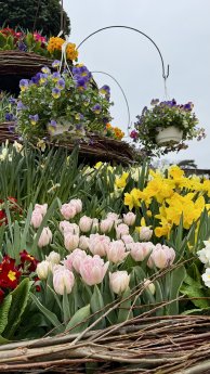 Osterbrunnen2026_(c) JuliGruner.jfif