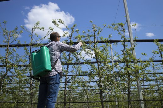 mannlicher-agronom-der-apfelbaume-mit-pestiziden-im-obstgarten-behandelt.jpg