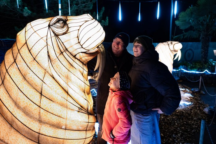 Wunderlight 2© Wunderland Kalkar.jpg