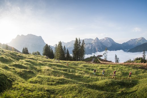 ZTC16_Harald Wisthaler_7842.jpg