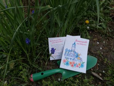 Eine Blumen-Postkarte aus Saatpapier bringt Urlaubern in Zeiten von Corona ein Stück Schwerin-Gefühl nach Hause. Foto: Stadtmarketing GmbH Schwerin, Design: fachwerkler