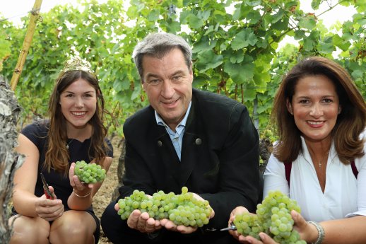 Bild 1 Eröffnung Weinlese in Franken.jpg