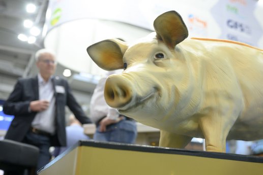 241113_ET24___S_Pfoertner_SPF101296 (1).jpg