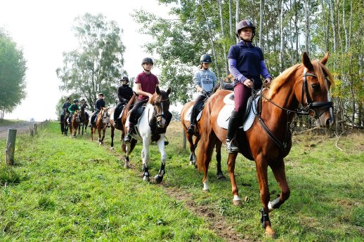 Reitergruppe_Heide_Fotografin Mirjana Rehling_klein.jpg