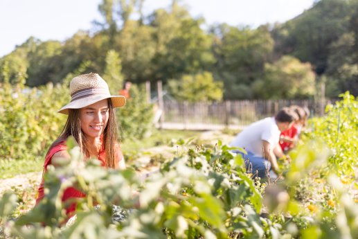 Ca. Stella FARM, Meride-Ticino Turismo - JacquesPerler.ch.jpg