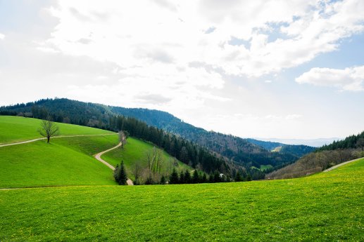 web Oberharmersbach_Vesperweg (c) Fichtner_Schwarzwald Tourismus (1).jpg