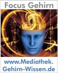 www.Mediathek.Gehirn-Wissen.de