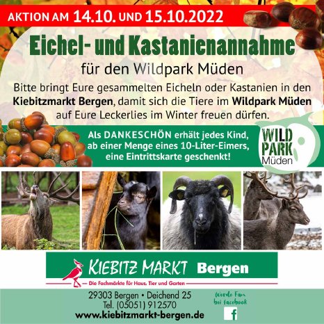 Eicheln-und-Kastanienaktion-für-den-Wildpark-Müden-am-Kiebitzmarkt-komp.jpg