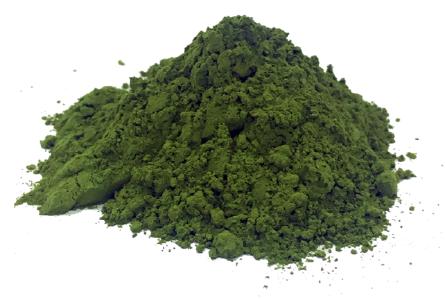 Algae Biomass Powder, Credit: BLOOM