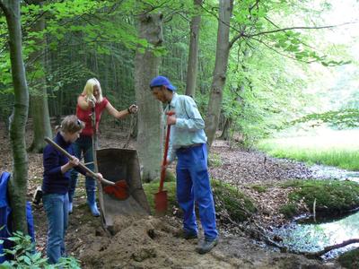 Foto (Nationalparkamt Müritz): Freiwillige im Ökologischen Jahr Kasia Sterna, Ines Griephan und Marcel Kerba (v. l. n. r.) beim Arbeitseinsatz im Moor bei Carpin