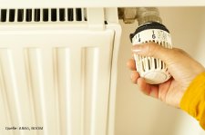 Heizkörper Thermostat