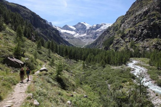 Valle d'Aosta - Parco Gran Paradiso Valnontey (Foto Enrico Romanzi).JPG