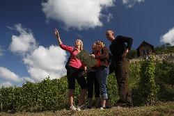 Wandern