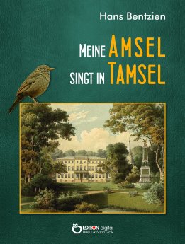 Amsel_cover.jpg