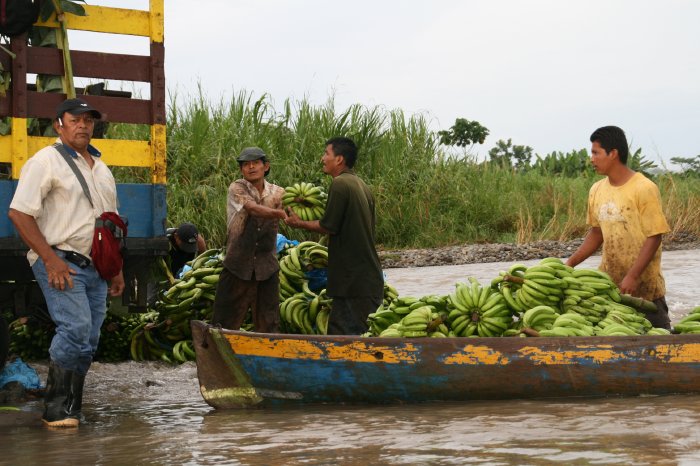 Costa Rica Indigenous Banana Business.JPG