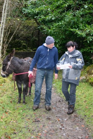 Eselwandern Slieve3_kl.jpg