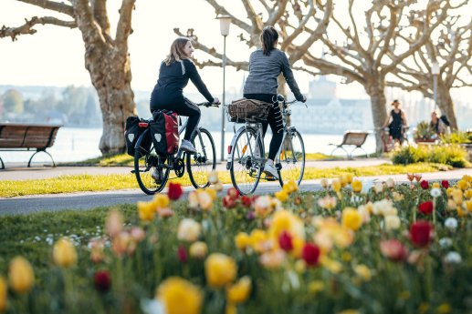 konstanz-seestrasse-radfahren-bluete-05-copyright-mtk-leo-leister-1600x1067.jpg