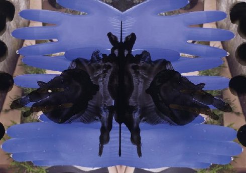 PM_2025_10_20_RE-think Rorschach.png