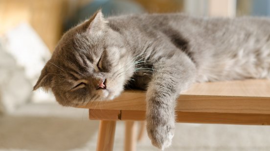 xtjbwgfhtfai5swm2qe5qk