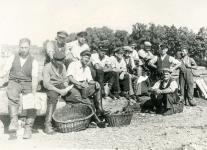 Unteruhldinger Fischer, 1935 / Foto: Pfahlbaumuseum Unteruhldingen