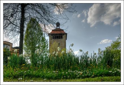 Bergfried / Foto: Martin Heintzen