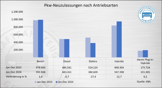 Pkw-Neuzulassungen n~en Jan-Dez 2024.jpg