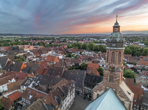 Blick über die Altstadt Max Wiesenbach.jpg