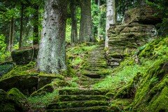 890f4b34359343928ecce259ee380d2d.240.jpg