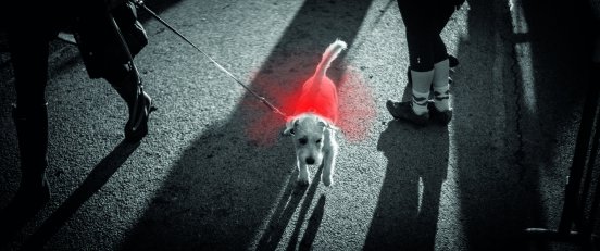 tor92ti_Eco run pro_Troika(11).jpg